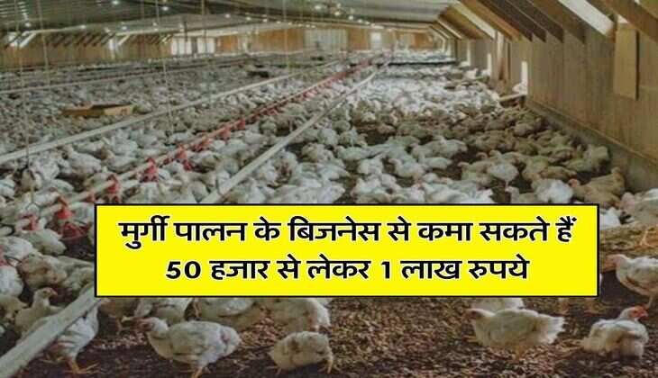 Business Ideas : मुर्गी पालन के बिजनेस से कमा सकते हैं 50 हजार से लेकर 1 लाख रुपये, जानिए&nbsp;इसकी पूरी जानकारी