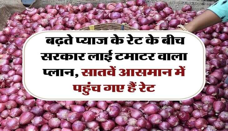 pyaj ka rate : बढ़ते प्याज के रेट के बीच सरकार लाई टमाटर वाला प्लान, सातवें आसमान में पहुंच गए हैं रेट
