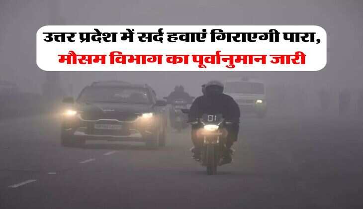 UP Weather : उत्तर प्रदेश में सर्द हवाएं गिराएगी पारा, मौसम विभाग का पूर्वानुमान जारी