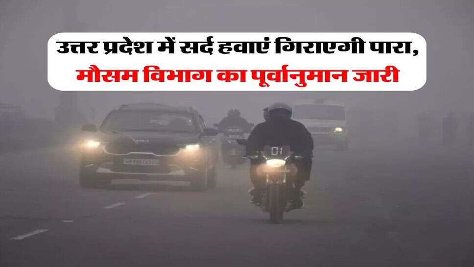 UP Weather : उत्तर प्रदेश में सर्द हवाएं गिराएगी पारा, मौसम विभाग का पूर्वानुमान जारी