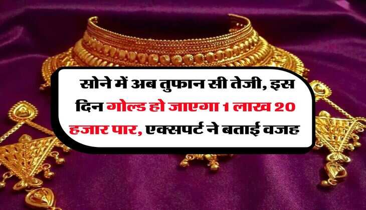 Gold Rate : सोने में अब तुफान सी तेजी, इस दिन गोल्ड हो जाएगा 1 लाख 20 हजार पार, एक्सपर्ट ने बताई वजह  