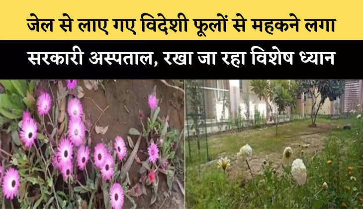 जेल से लाए गए विदेशी फूलों से महकने लगा सरकारी अस्पताल, रखा जा रहा विशेष ध्यान