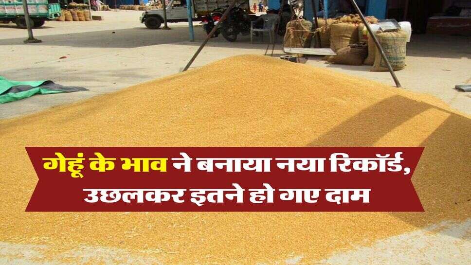 Wheat Rate Hike : गेहूं के भाव ने बनाया नया रिकॉर्ड, उछलकर इतने हो गए दाम