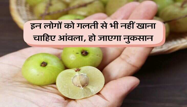 Amla : इन लोगों को गलती से भी नहीं खाना चाहिए आंवला, हो जाएगा नुकसान