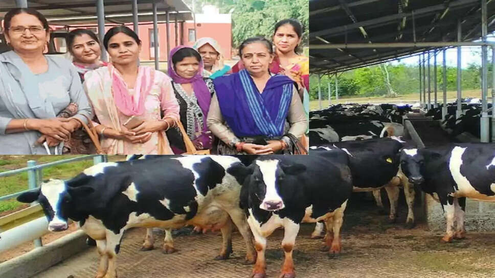 Business Idea:&nbsp;हरियाणा की इस महिला ने डेयरी बिजनेस में किया ऐसा र्स्टाटअप, लाखों रूपये कमाई के साथ विदेशों में बज रहा डंका&nbsp;&nbsp;
