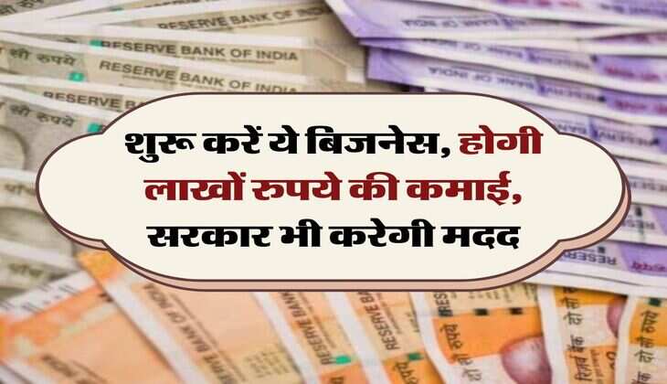 Business Ideas: शुरू करें ये बिजनेस, होगी लाखों रुपये की कमाई, सरकार भी करेगी मदद