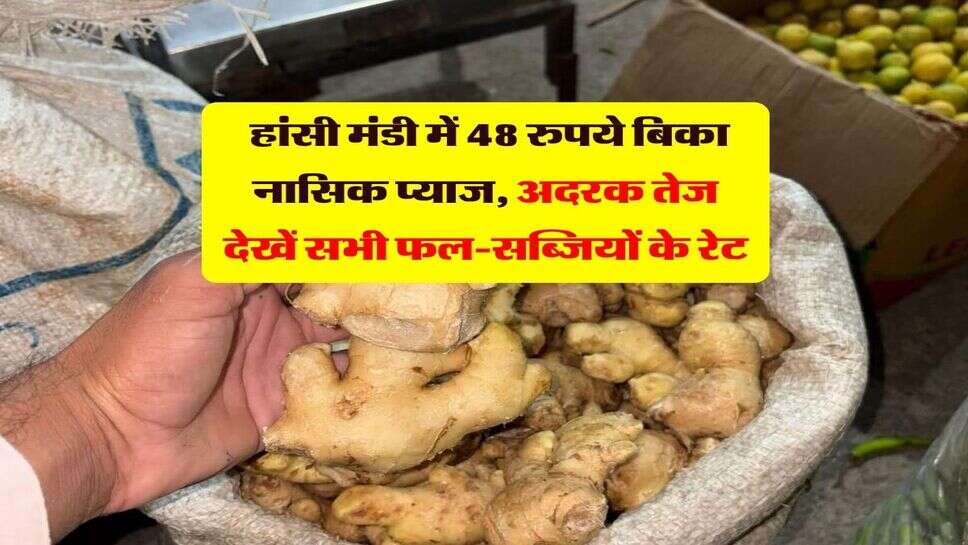 हांसी मंडी भाव 6 अक्टूबर : हांसी मंडी में 48 रुपये बिका नासिक प्याज, देखें सभी फल-सब्जियों के रेट