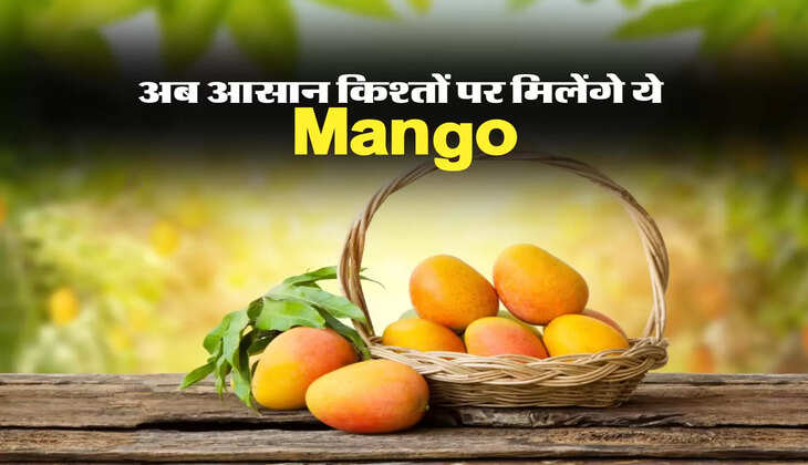 Mango