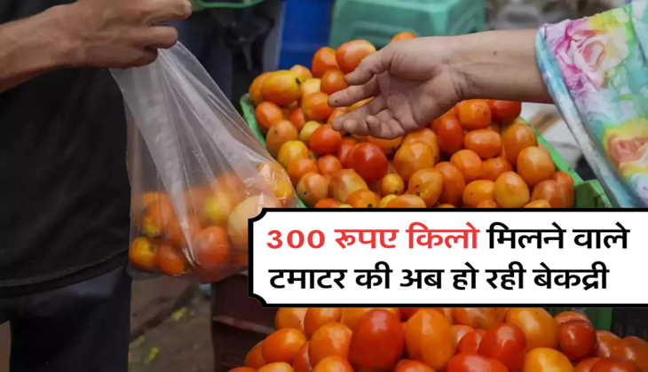 300 रूपए किलो मिलने वाले टमाटर की अब हो रही बेकद्री  