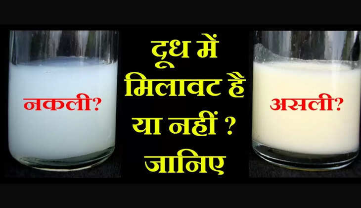Milk Adulteration - अब सिर्फ 30 सेकेंड में पता चल जाएगा दूध में मिलावट का