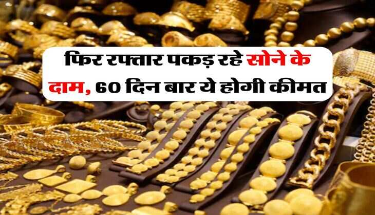 Gold Price : सोने में निवेशकों ने फिर से दिखाई रूची, रफ्तार पकड़ रहे सोने के दाम, इतनी होगी 60 दिन बाद प्यौर गोल्ड की कीमत