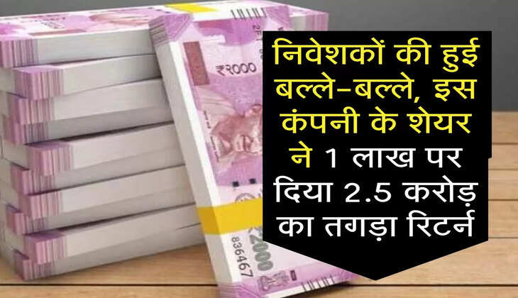 Stock Market : निवेशकों की हुई बल्ले-बल्ले, इस कंपनी के शेयर ने 1 लाख पर दिया 2.5 करोड़ का तगड़ा रिटर्न