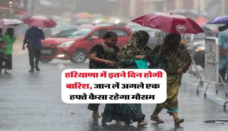 Haryana Mausam : हरियाणा में इतने दिन होगी बारिश, जान लें अगले एक हफ्ते कैसा रहेगा मौसम&nbsp;