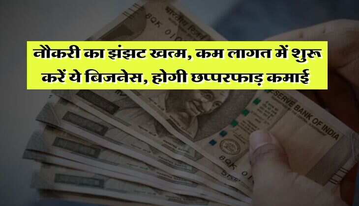 Business Idea : नौकरी का झंझट खत्म, कम लागत में शुरू करें ये बिजनेस, होगी छप्परफाड़ कमाई&nbsp;
