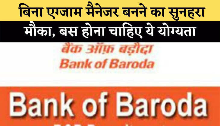  बिना एग्जाम मैनेजर बनने का सुनहरा मौका, बस होना चाहिए ये योग्यता