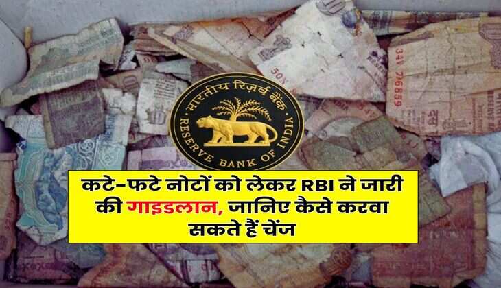 Indian Currency Notes : कटे-फटे नोटों को लेकर RBI ने जारी की गाइडलान, जानिए कैसे करवा सकते हैं चेंज