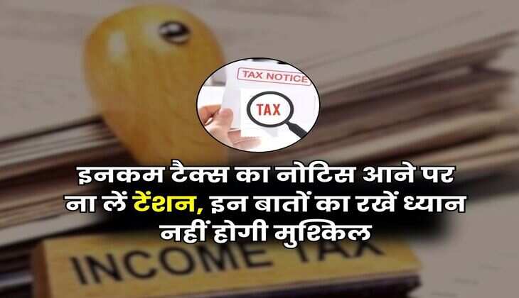 Income Tax Notice : इनकम टैक्स का नोटिस आने पर ना लें टेंशन,&nbsp; इन बातों का रखें ध्यान नहीं होगी मुश्किल