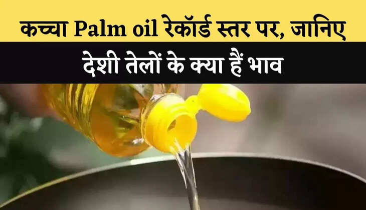 बिनौला तेल का भाव