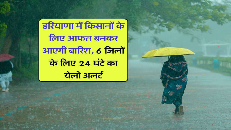 हरियाणा में किसानों के लिए आफत बनकर आएगी बारिश, 6 जिलों के लिए 24&nbsp;घंटे का येलो अलर्ट