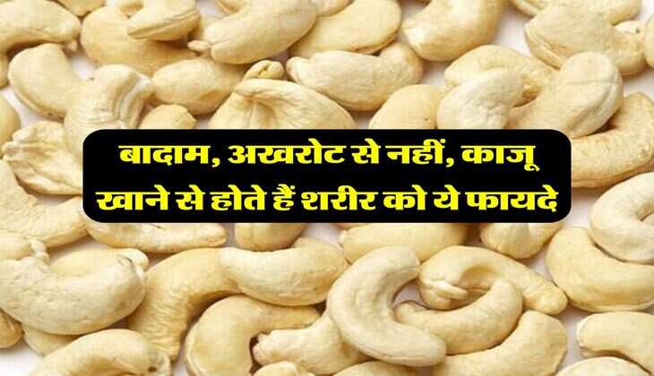 बादाम, अखरोट से नहीं, काजू खाने से होते हैं शरीर को ये फायदे