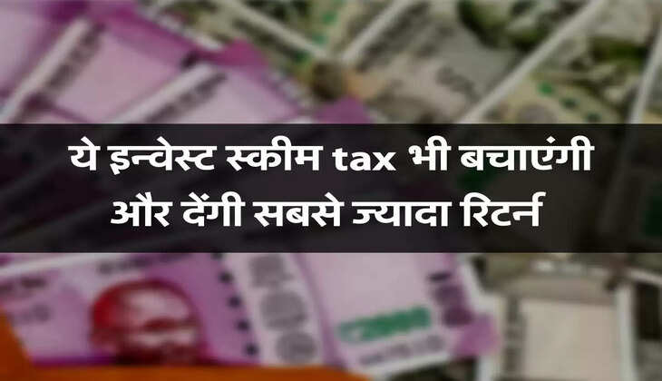 ये इन्वेस्ट स्कीम tax भी बचाएंगी और देंगी सबसे ज्यादा रिटर्न 