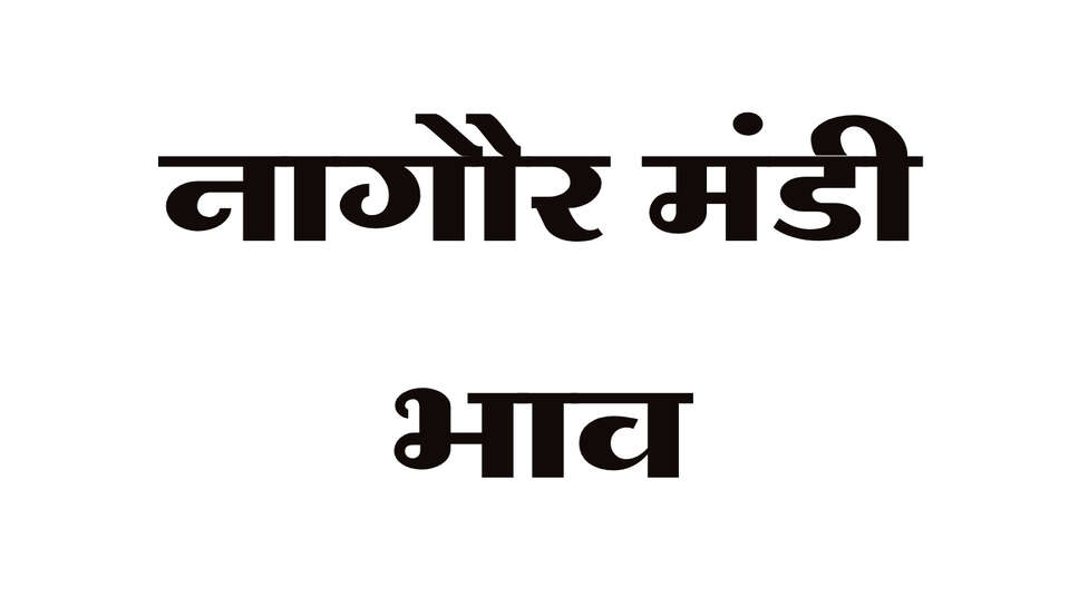 नागौर मंडी भाव: मूंग, जीरा और ईसबगोल के भाव में दिखी हलचल