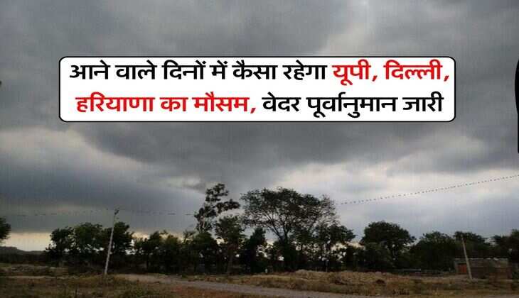 kal ka Mausam : आने वाले दिनों में कैसा रहेगा यूपी, दिल्ली, हरियाणा का मौसम, वेदर पूर्वानुमान जारी