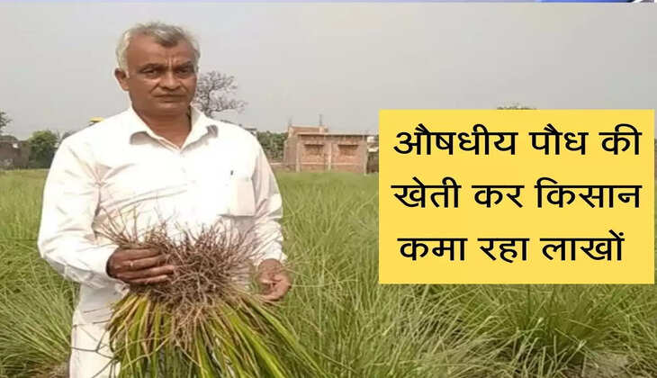 Farmer earning lakhs by cultivating medicinal plants