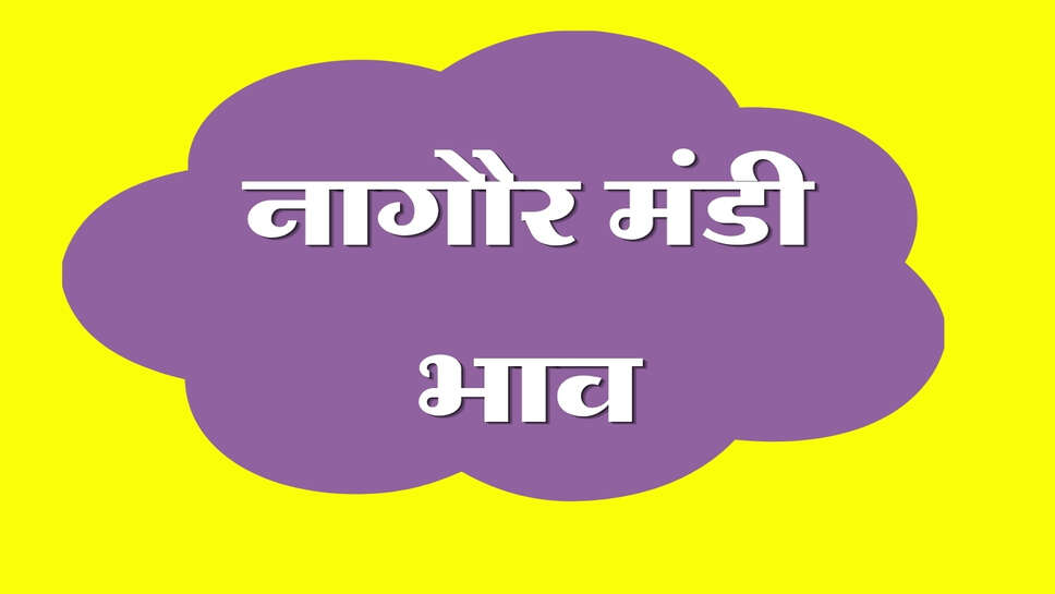 नागौर मंडी भाव 20 अक्टूबर 2026: सफेद तिल में 1000 रुपए की तेजी, काला तिल और ज्वार भी तेज, सौंफ में मंदी