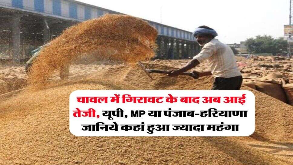 चावल में गिरावट के बाद अब आई तेजी, यूपी, MP या पंजाब-हरियाणा जानिये कहां हुआ ज्यादा महंगा
