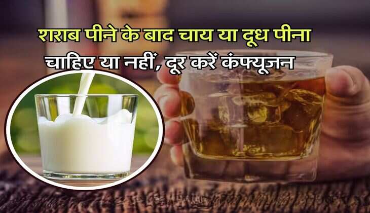 Wine Beer : शराब पीने के बाद चाय या दूध पीना चाहिए या नहीं, दूर करें कंफ्यूजन