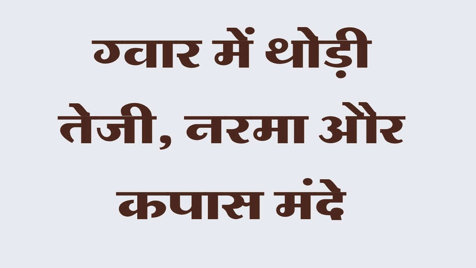मंडी भाव 2 अक्टूबर 2026: ग्वार में थोड़ी तेजी, नरमा और कपास मंदे, जानिए मुख्य फसलों के रेट
