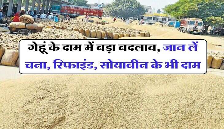 Wheat price : गेहूं के दाम में बड़ा बदलाव, जान लें चना, रिफाइंड, सोयाबीन के भी दाम