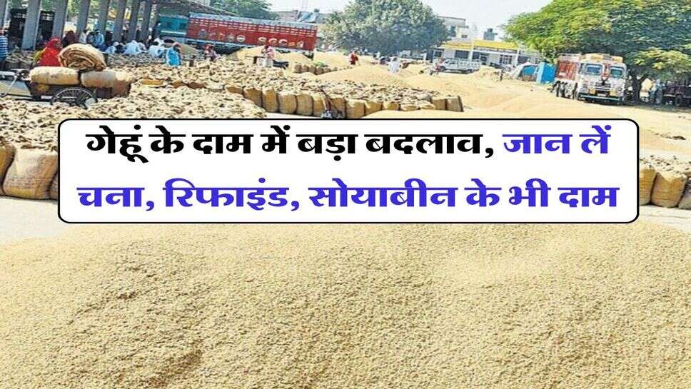 Wheat price : गेहूं के दाम में बड़ा बदलाव, जान लें चना, रिफाइंड, सोयाबीन के भी दाम
