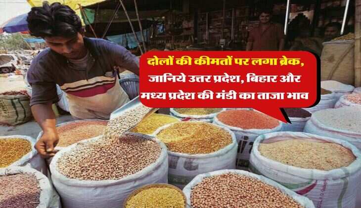 Mandi Bhav : दोलों की कीमतों पर लगा ब्रेक, जानिये उत्तर प्रदेश, बिहार और मध्य प्रदेश की मंडी का ताजा भाव