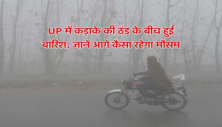 UP में कड़ाके की ठंड के बीच हुई बारिश, जानें आगे कैसा रहेगा मौसम