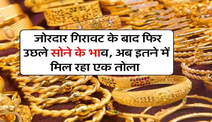 Gold Rate : जोरदार गिरावट के बाद फिर उछले सोने के भाव, अब इतने में मिल रहा एक तोला&nbsp;