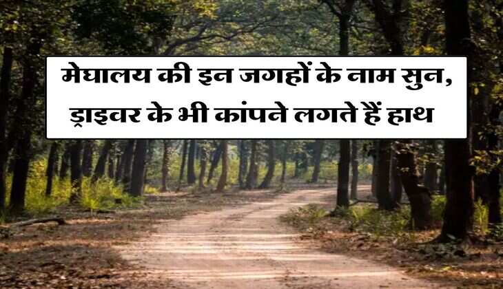 Tourist Place : मेघालय की इन जगहों के नाम सुन, ड्राइवर के भी कांपने लगते हैं हाथ