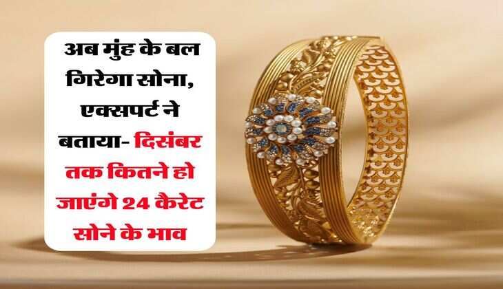Gold Price : अब मुंह के बल गिरेगा सोना, एक्सपर्ट ने बताया- दिसंबर तक कितने हो जाएंगे 24 कैरेट सोने के भाव
