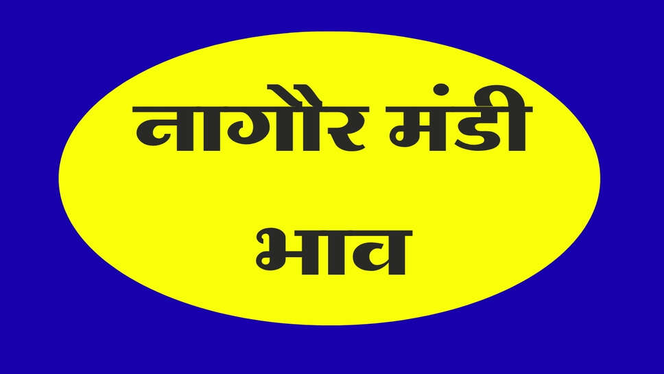 नागौर मंडी भाव 21 अक्टूबर 2026: सफेद तिल, जीरा, ग्वार और मूंग के ताजा रेट