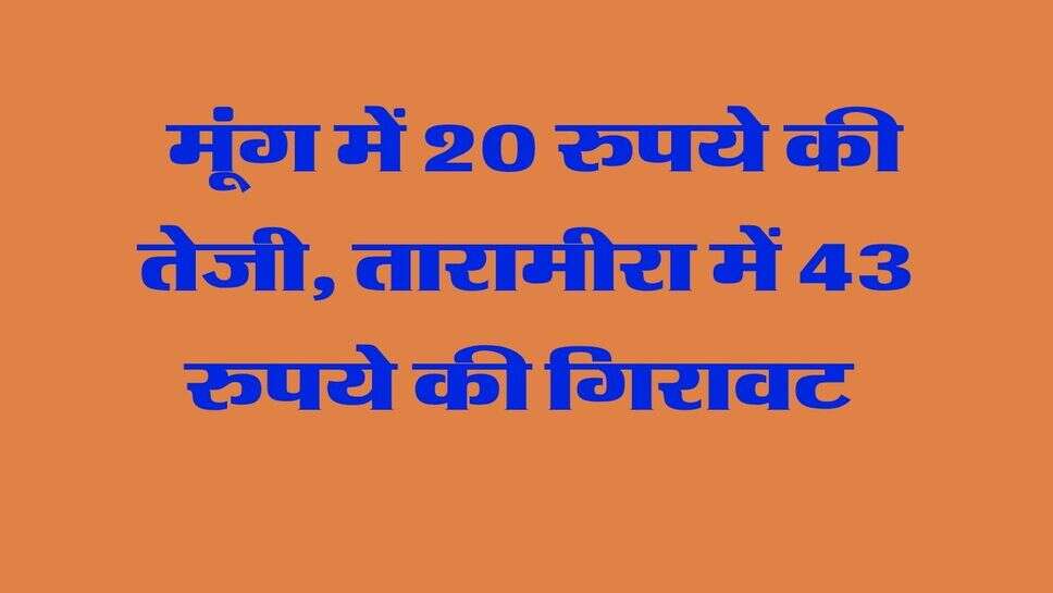 नागौर मंडी भाव 24 अक्टूबर 2026: मूंग में 20 रुपये की तेजी, तारामीरा में 43 रुपये की गिरावट&nbsp;