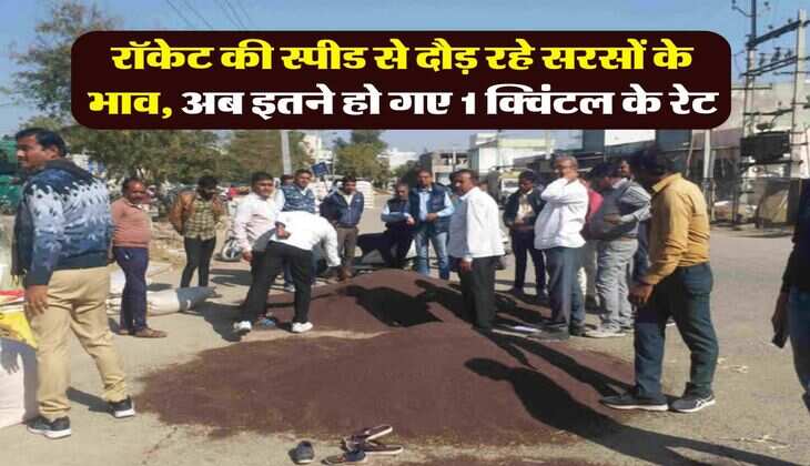 Sarso Rate : रॉकेट की स्पीड से दौड़ रहे सरसों के भाव, अब इतने हो गए 1 क्विंटल के रेट