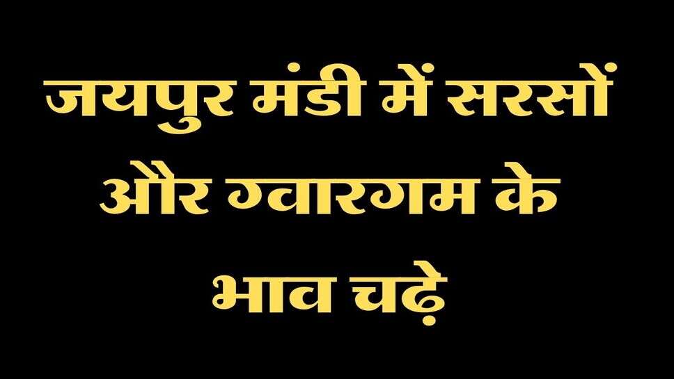 Jaipur Mandi Bhav Today: जयपुर मंडी में सरसों और ग्वारगम के भाव चढ़े, जानें सभी फसलों के रेट