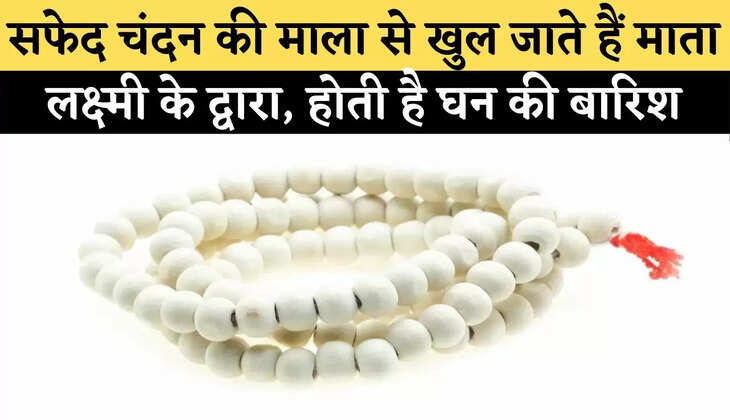 White Sandalwood Garland Benefits: White sandalwood garland is opened by Goddess Lakshmi, it rains densely