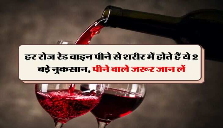Alcohol : हर रोज रेड वाइन पीने से शरीर में होते हैं ये 2 बड़े नुकसान, पीने वाले जरूर जान लें