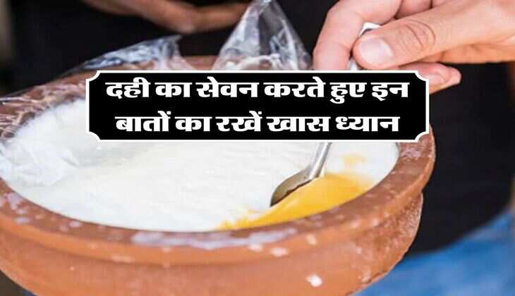Health Tips: दही का सेवन करते हुए इन बातों का रखें खास ध्यान, सर्दियों में इस चीज के साथ कभी न खाएं दही
