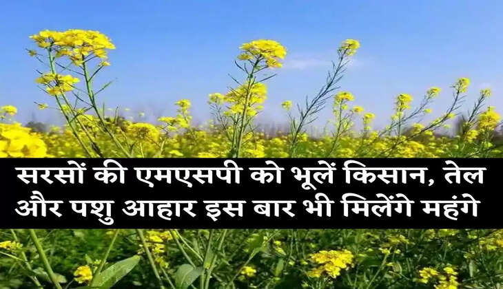 Mustard Mandi Update सरसों की एमएसपी को भूलें किसान, तेल और पशु आहार इस बार भी मिलेंगे महंगे