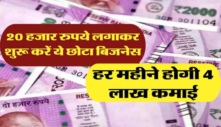 Small business idea: 20 हजार रुपये लगाकर शुरू करें ये छोटा बिजनेस, हर महीने होगी 4 लाख कमाई