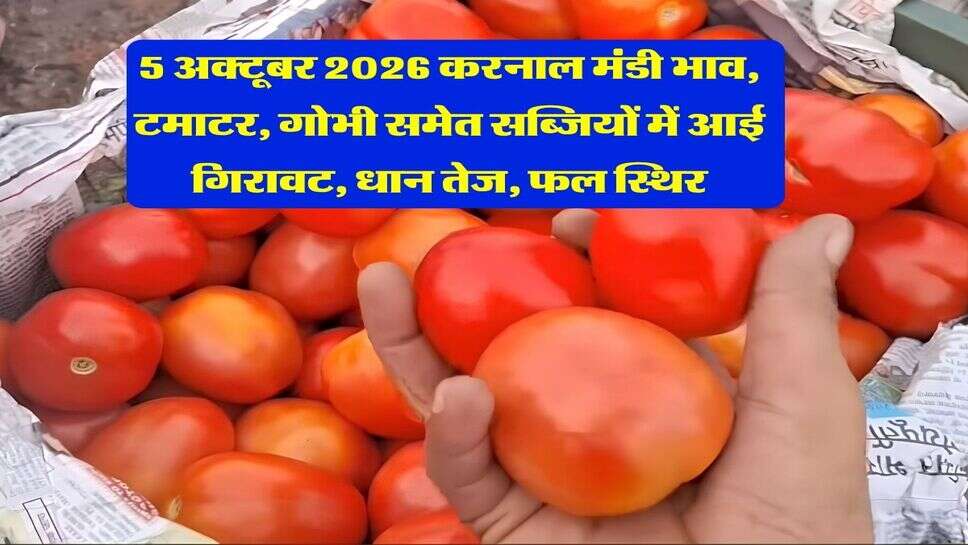 5 अक्टूबर 2026 करनाल मंडी भाव, टमाटर, गोभी समेत सब्जियों में आई गिरावट, धान&nbsp;तेज, फल स्थिर