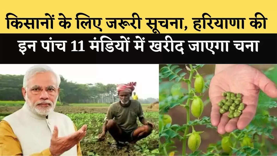 haryana news